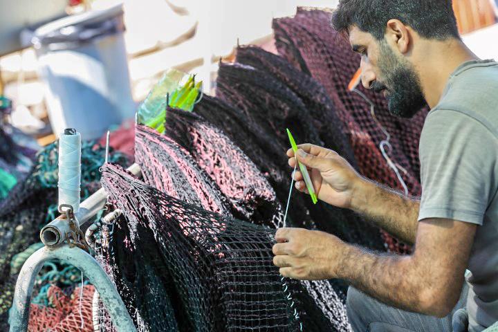 Türkiye'nin balık ihtiyacının önemli bir bölümünün karşılandığı Ege'de, balıkçılar 1 Eylül'de başlayacak sezon için hazırlıklarını sürdürüyor. Yaklaşık 6 aylık aranın ardından yeni sezon hazırlıklarının sürdüğü bölgedeki balıkçı barınaklarında denizin işçileri mavi sulara açılmak için gün sayıyor. Sabahın erken saatlerinde başlayan ağ onarımı mesaisi ise gün batınca bitiyor. ( Ömer Evren Atalay - Anadolu Ajansı )