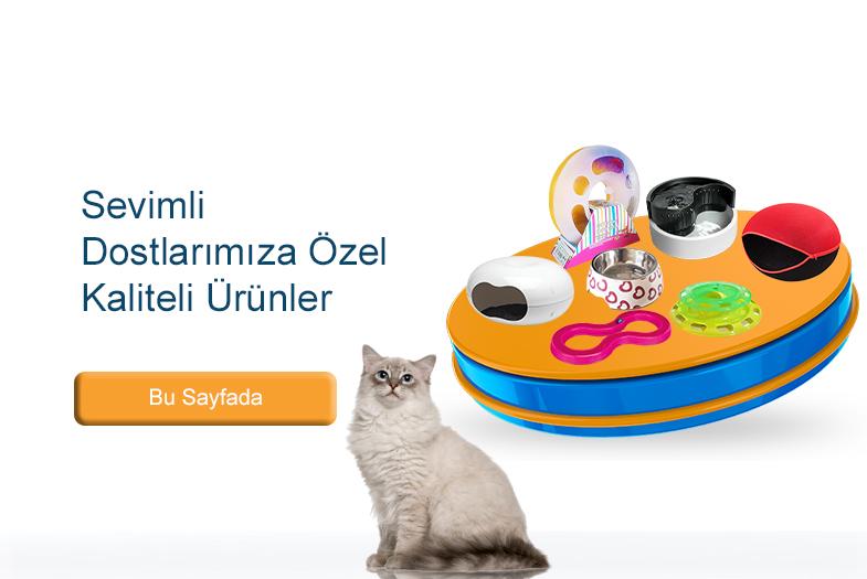 Foto Galeri (1) Kedinizin Çok Seveceği Kedi Aksesuarları Aliağa Ekspres